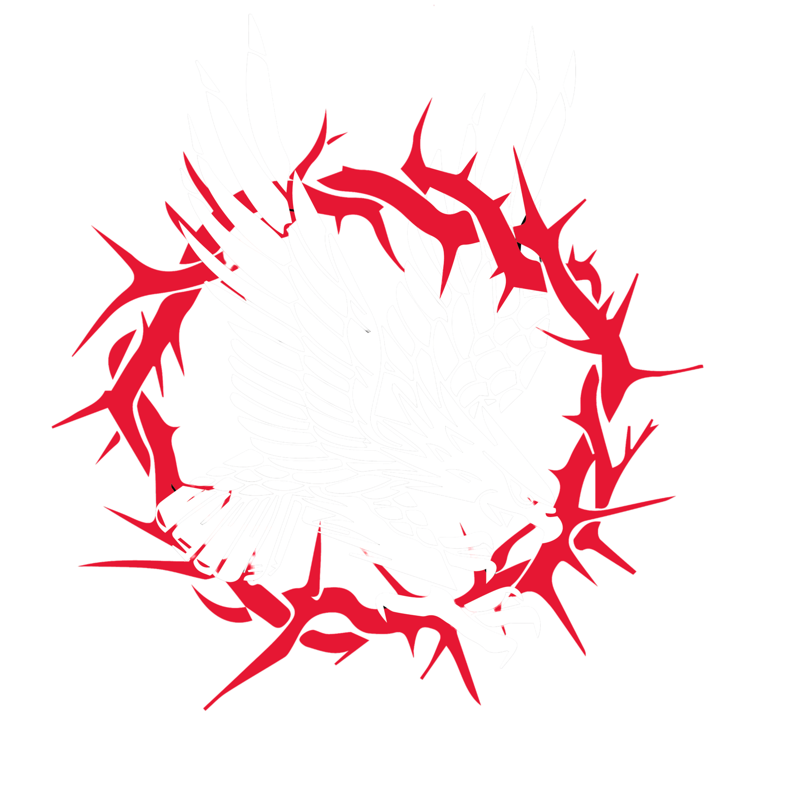 Colaborador 4